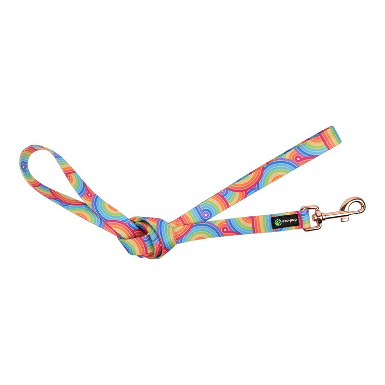 Narrow Pet Lead, Rainbow, 120cm