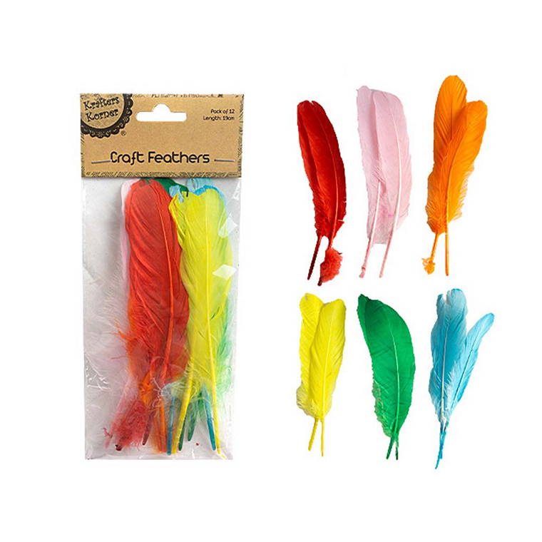 Craft Mix Col Feathers, 12pk, 19cm