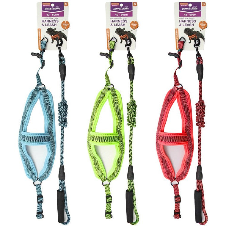 Mesh Lead & Harness, Small, 3 Asstd Colours