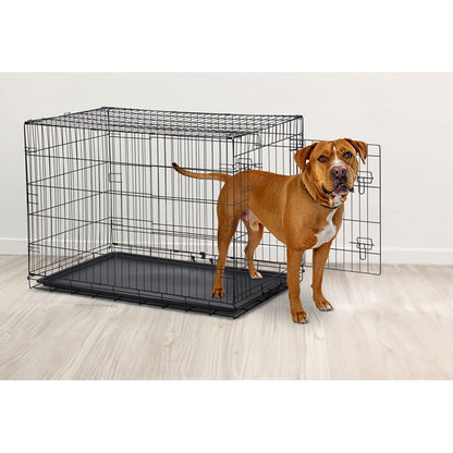 Pet Training Cage, Large