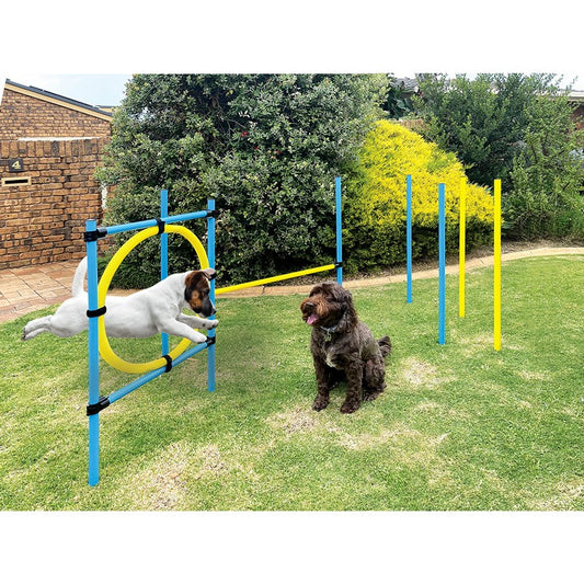 Dog Agility Training Set, 6pce