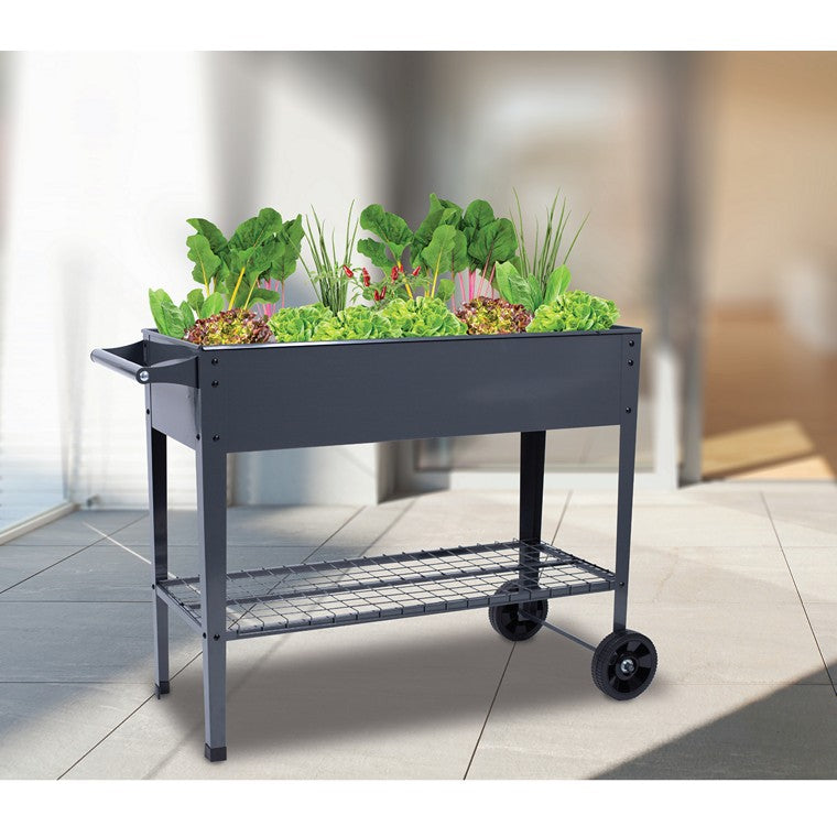 Garden Bed w/ Wheels