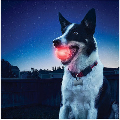 Pet Ball, Glow in The Dark, Asstd