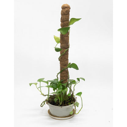 Coco Fibre Pole, 90cm