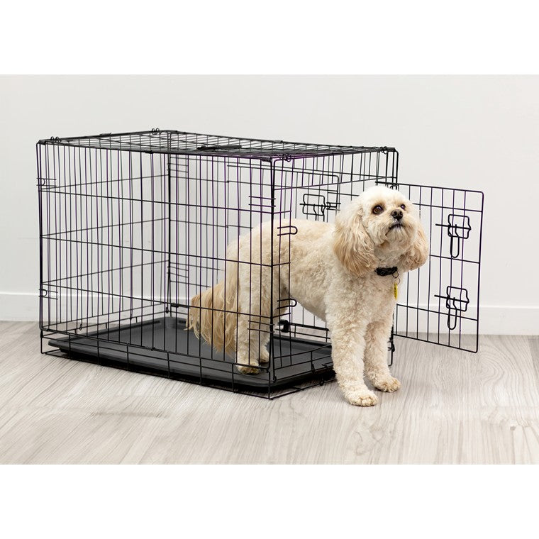 Pet Training Cage, Medium