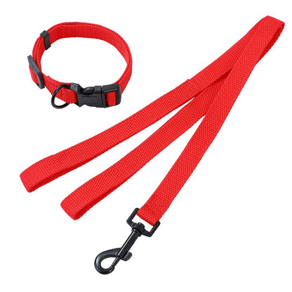 Essentials Dog Collar & Lead Set, Small, 2 Asstd Colours