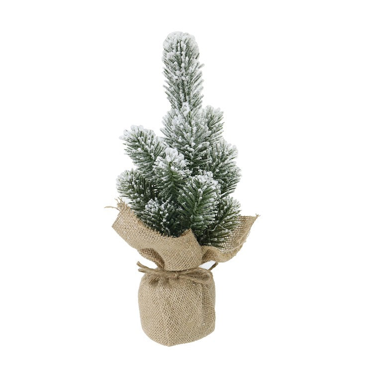 Potted Snowy Pine, 30cm, Asstd