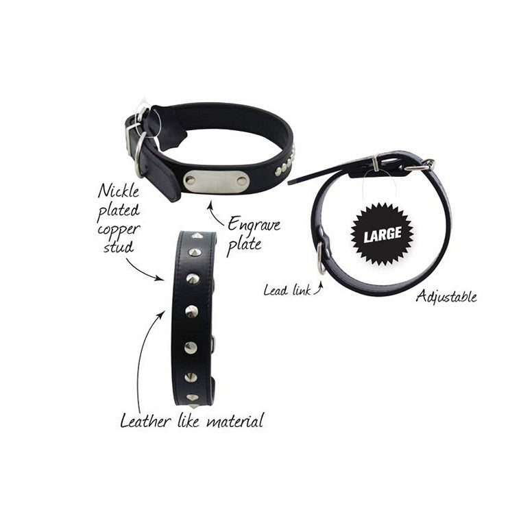 Dog Collar, Asstd, Large