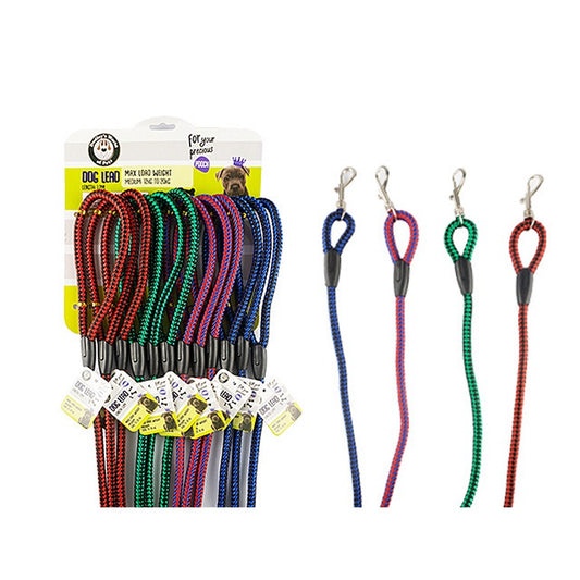 Dog Lead Stripped, Medium , 4 Asstd Colours