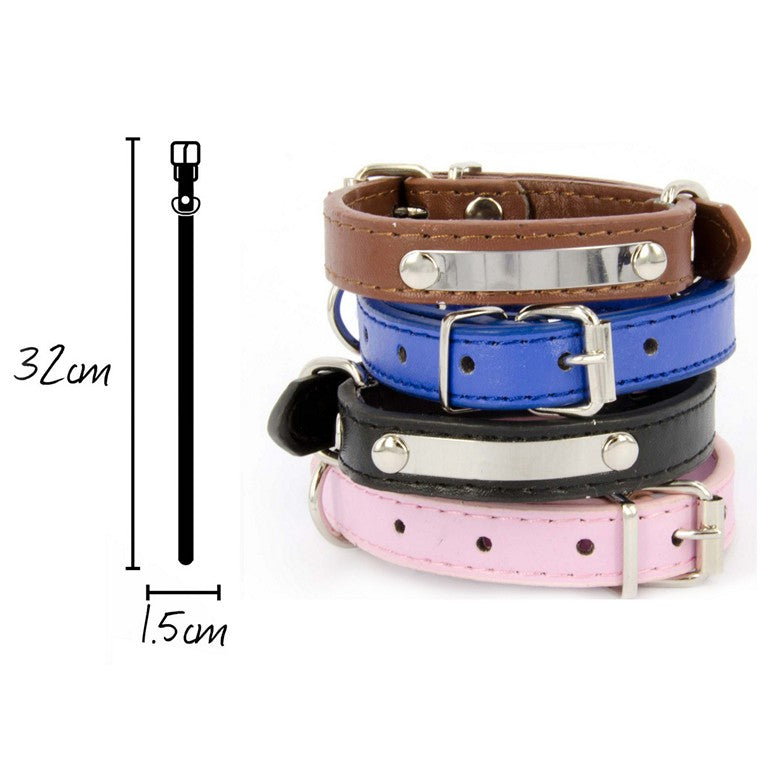 Dog Collar, Asstd, Small