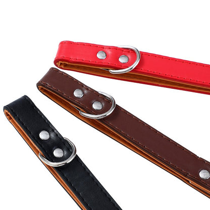 Premium Original Padded  Dog Collar, Medium, 4 Asstd Colours