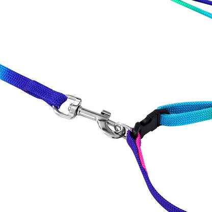 Cat Collar & Lead Set, Rainbow