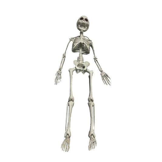 Hanging Skeleton