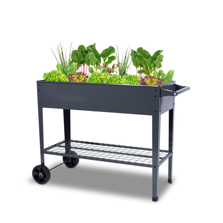 Garden Bed w/ Wheels