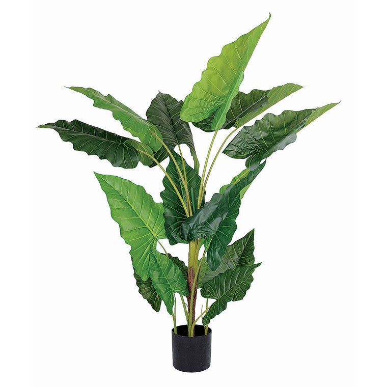 Artificial Calathea Roseopicta Plant, 150cm