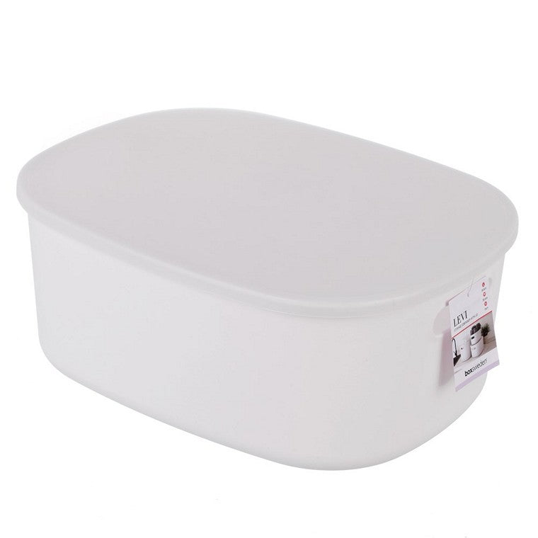 Levi Storage Container w/ Lid, 3 Asstd Colours