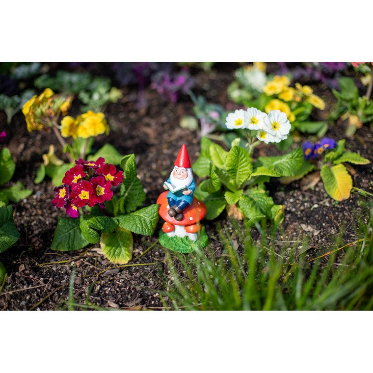 Garden Gnome, Reading