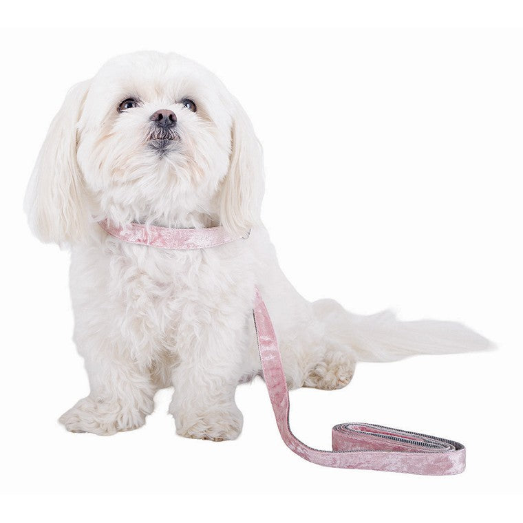 Velvet Collar & Leash Set, Asstd