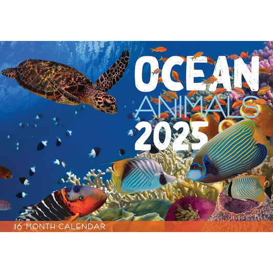 Ocean Animals 2025 Calendar