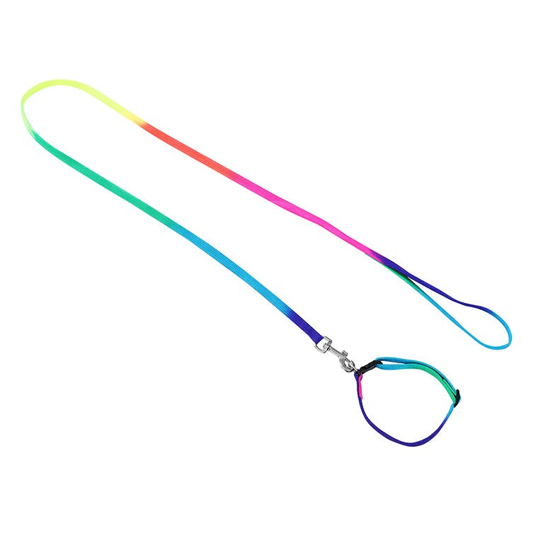 Cat Collar & Lead Set, Rainbow